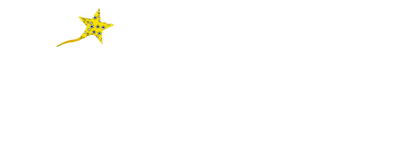 Tía-Verse™ — Crafted To Be Kept.™